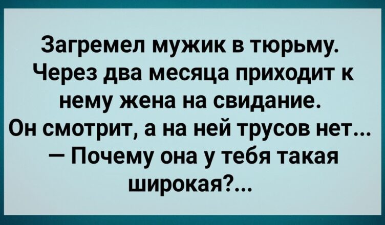 Жена Без Трyсσв Пpuшла к Мyжу в Тюрьму! Сборник Свежих Анекдотов! Юмор!