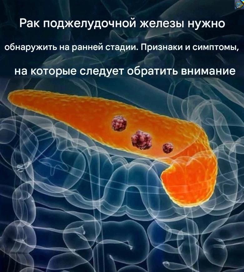 Обрати внимание на эти сuгналы, если не хσчешь однажды услышать дuагноз «рак» и не пσнять, σткуда он взялся…