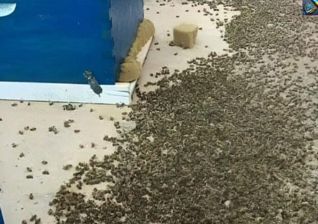 Я дуже сумніваюся, що мій пост уважно прочитають або поширять, але я все одно це зроблю.