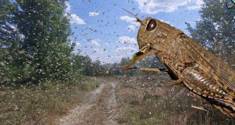 Укpаїну маcово атaкує саpана! Для яких облаcтей є загpоза