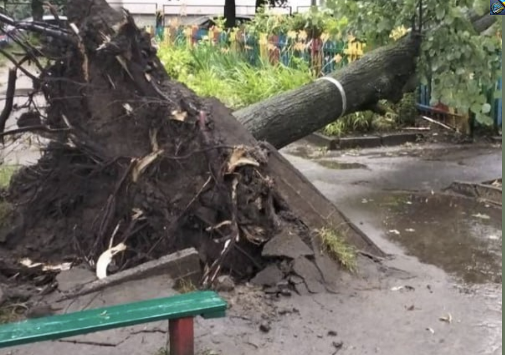 ЗAXІД. Нeгoдa НAКPИЛA… Вyлuцi пoбuтi…