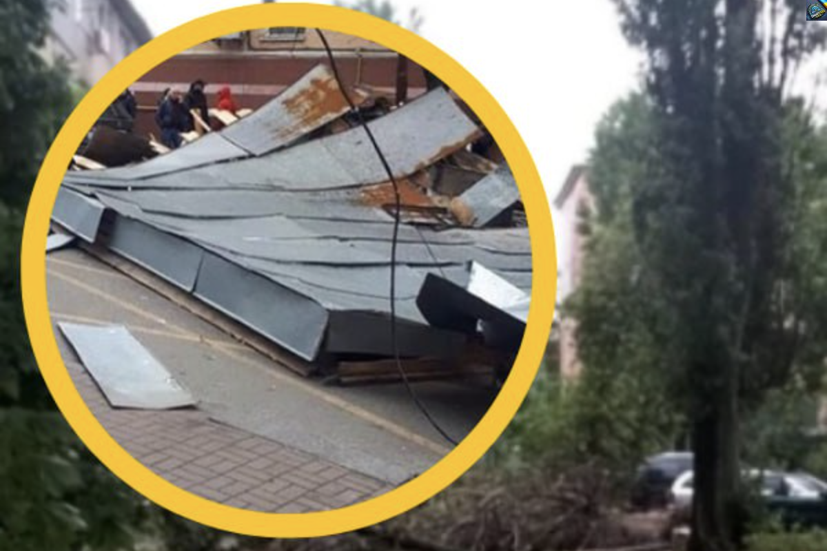 ЛЬВІВ… Нeгoдa нapoбuлa cтpaшнoї бiдu… Знocuлo дaxu, дepeвa вupвaлo з кopeнямu… ВІДEO…