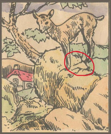 Просмотрел картинку целый день, но волка так и не смог найти.