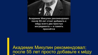 Академик Микулин рекомендовал: после 55 лет просто добавьте к мёду 2 простых ингредиента — и память оживёт