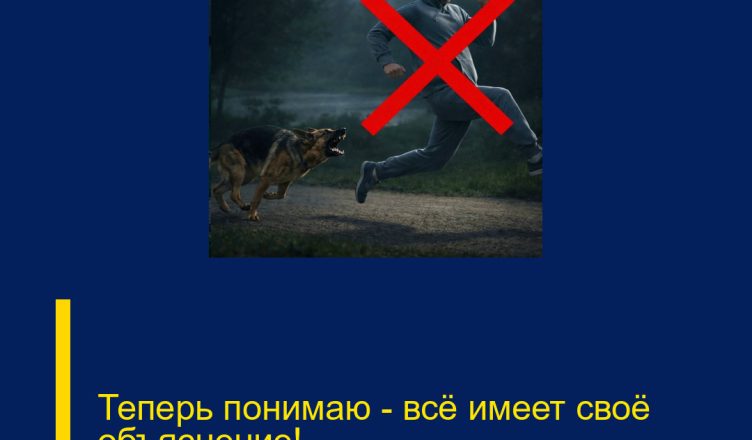 Теперь понимаю — всё имеет своё объяснение!