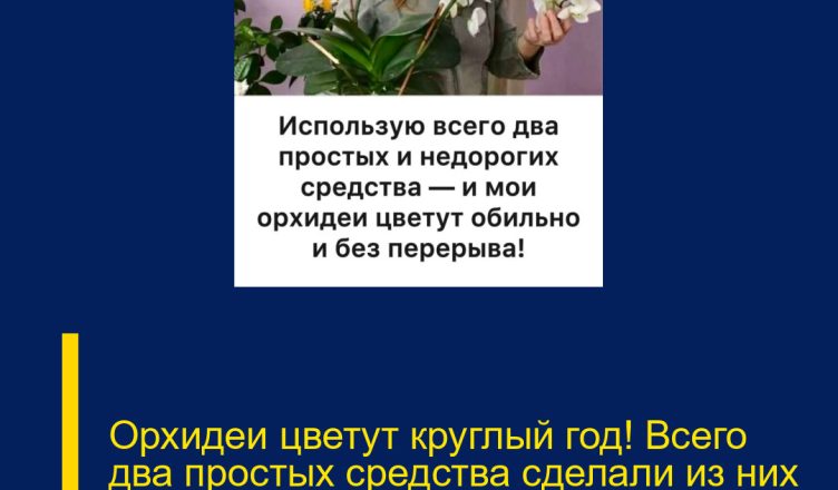 Орхидеи цветут круглый год! Всего два простых средства сделали из них настоящий роскошный букет.
