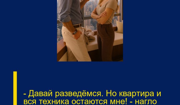 — Давай разведёмся. Но квартира и вся техника остаются мне! — нагло заявил муж.