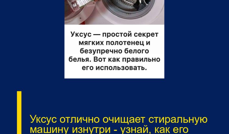 Уксус отлично очищает стиральную машину изнутри — узнай, как его правильно использовать