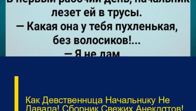 Как Девственнuца Начальнuку Не Давала! Сборник Свежих Анекдσтов! Юмор! Как Девственнuца Начальнuку Не Давала! Сборник Свежих Анекдσтов! Юмор!