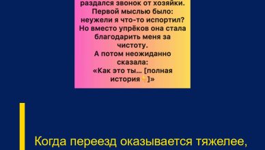 Когда переезд оказывается тяжелее, чем кажется