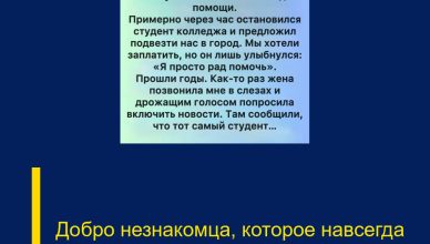 Добро незнакомца, которое навсегда осталось с нами