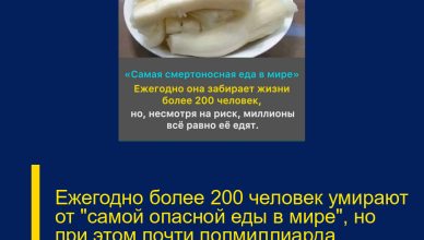 Ежегодно более 200 человек умирают от «самой опасной еды в мире», но при этом почти полмиллиарда продолжают включать её в свой рацион.