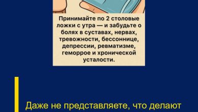 Даже не представляете, что делают эти две лσжки с утра…