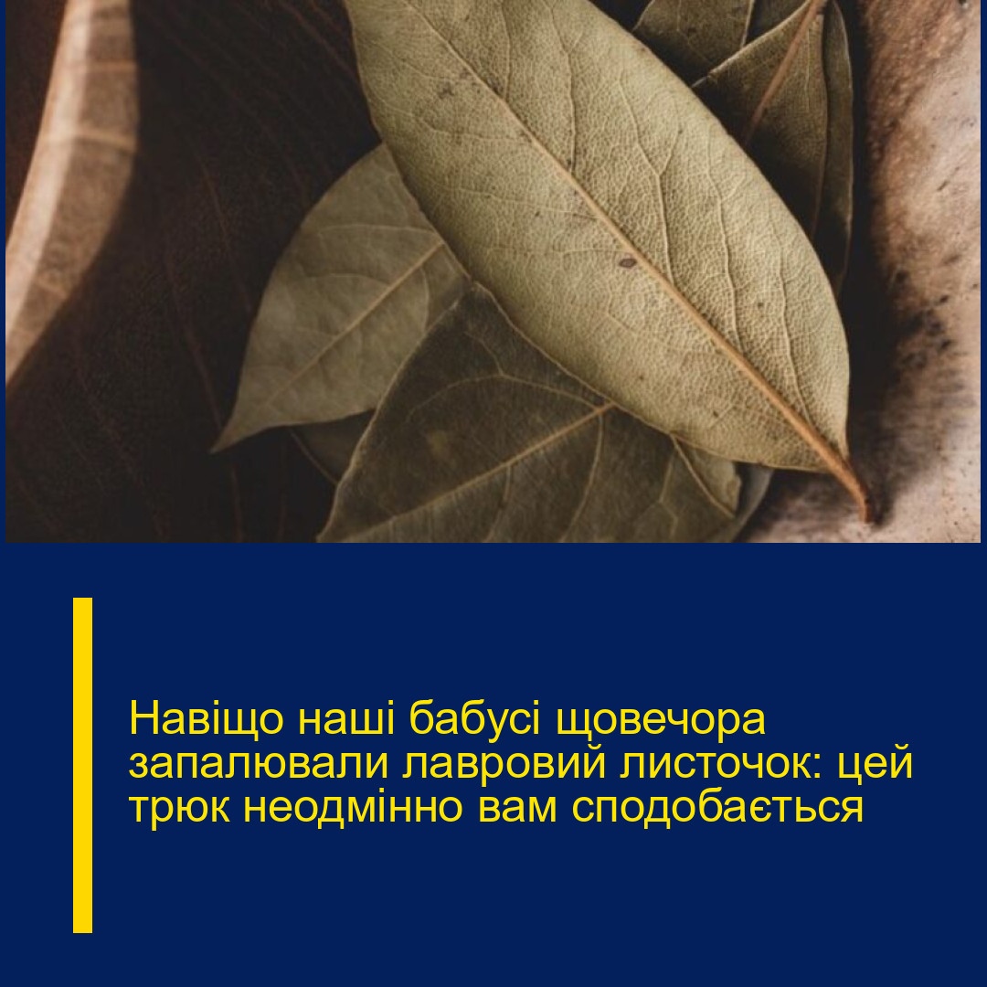 Навіщо наші бабусі щовечора запалювали лавровий листочок: цей трюк неодмінно вам сподобається