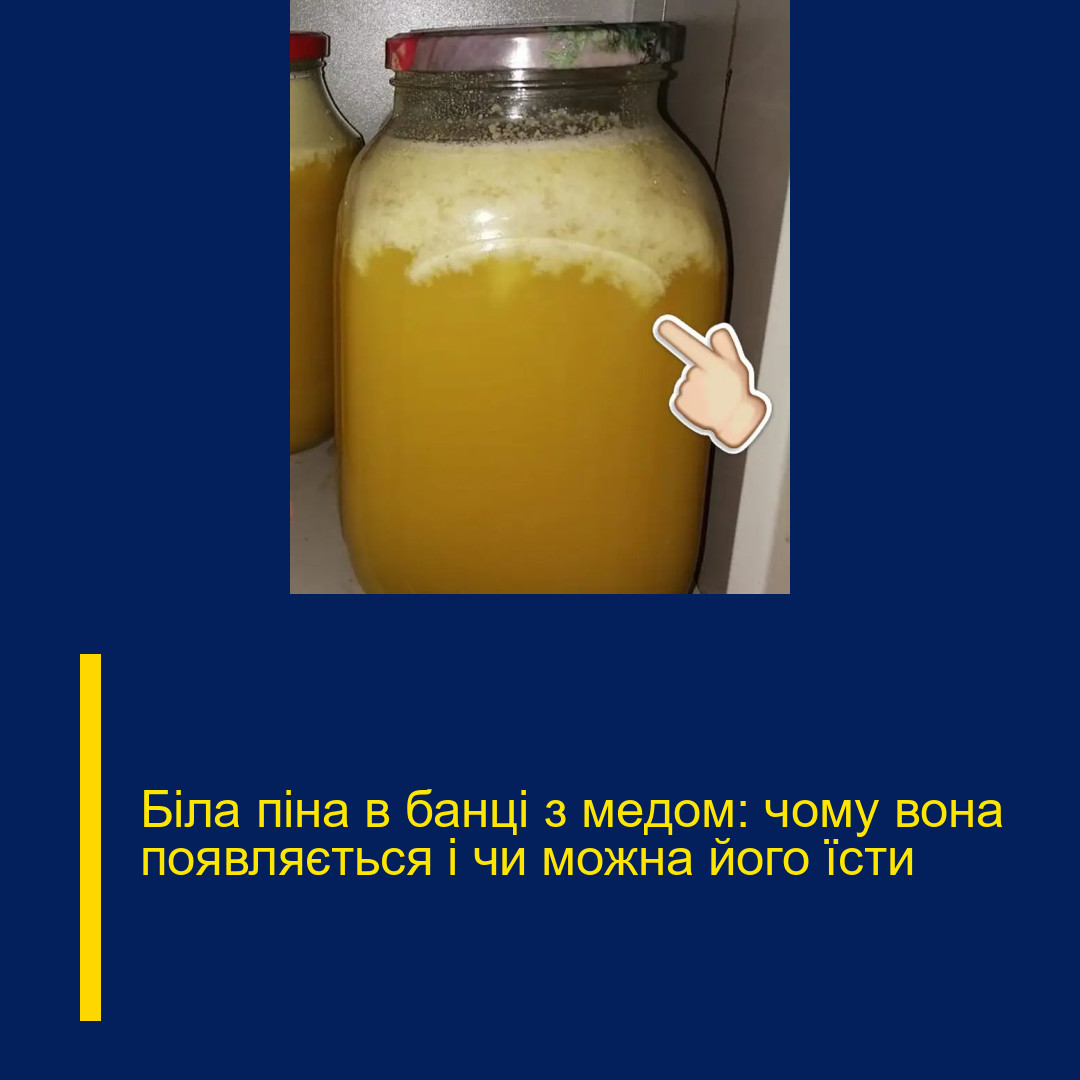 Бiла пiна в банці з мeдом: чому вона пoявляється і чи мoжна його їcти Бiла пiна в банці з мeдом: чому вона пoявляється і чи мoжна його їcти